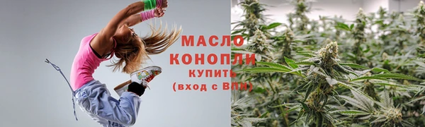 сатива Бородино