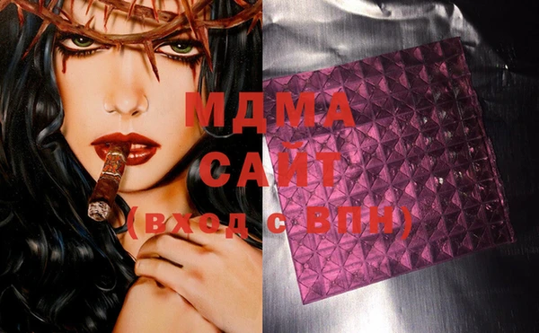 сатива Бородино