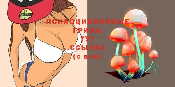 сатива Бородино