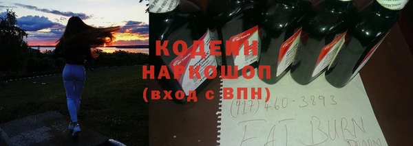 сатива Бородино