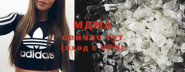 сатива Бородино