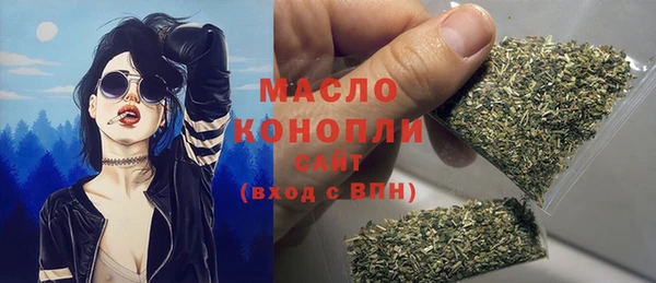 сатива Бородино