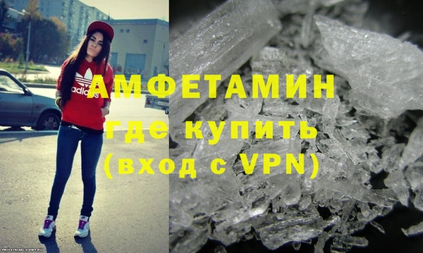 сатива Бородино