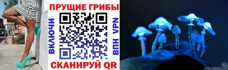 blacksprut ссылка  Карачаевск  Галлюциногенные грибы ЛСД  где купить  